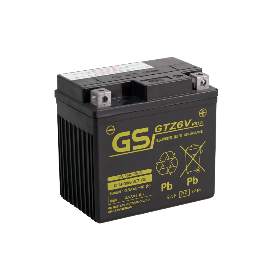 Ảnh của Bình ắc quy GS GTZ6V